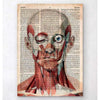 Codex Anatomicus Anatomical Print Geometric Face Anatomy Old Dictionary Page