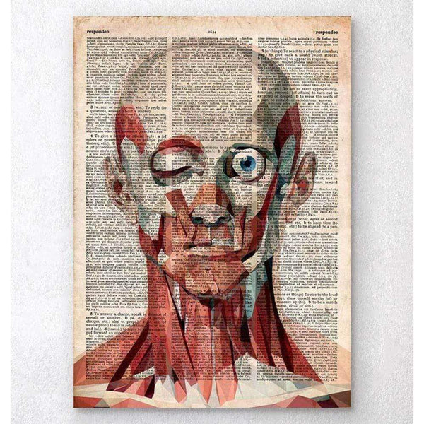 Codex Anatomicus Anatomical Print A5 Size (14.8 x 21 cm) Geometric Face Anatomy Old Dictionary Page