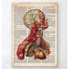 Codex Anatomicus Anatomical Print Geometric Head Anatomy II Old Dictionary Page