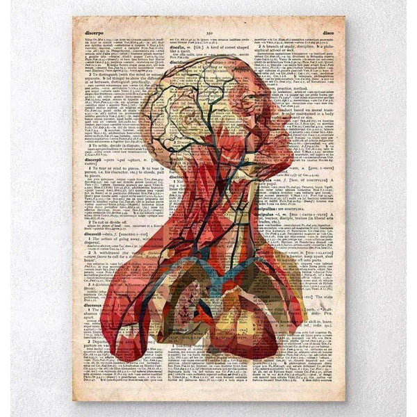Codex Anatomicus Anatomical Print A5 Size (14.8 x 21 cm) Geometric Head Anatomy II Old Dictionary Page