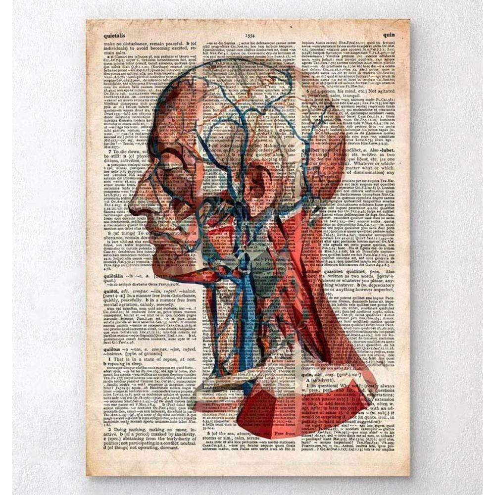 Human skull print IV - Codex Anatomicus