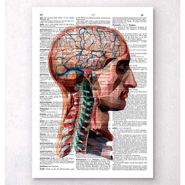 Codex Anatomicus Anatomical Print Geometric Head And Brain Dictionary Page
