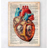 Codex Anatomicus Anatomical Print A5 Size (14.8 x 21 cm) Geometric Heart Anatomy Old Dictionary Page