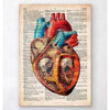 Codex Anatomicus Anatomical Print Geometric Heart Anatomy Old Dictionary Page