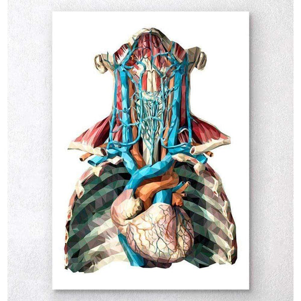 Codex Anatomicus Anatomical Print A5 Size (14.8 x 21 cm) Geometric Heart And Arteries