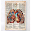 Codex Anatomicus Anatomical Print Geometric Heart And Lungs Old Dictionary Page