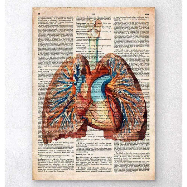 Codex Anatomicus Anatomical Print Geometric Heart And Lungs Old Dictionary Page