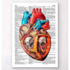Codex Anatomicus Anatomical Print A5 Size (14.8 x 21 cm) Geometric Heart Dictionary Page