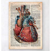 Codex Anatomicus Anatomical Print A5 Size (14.8 x 21 cm) Geometric Heart II Old Dictionary Page