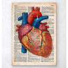Codex Anatomicus Anatomical Print Geometric Heart III Old Dictionary Page