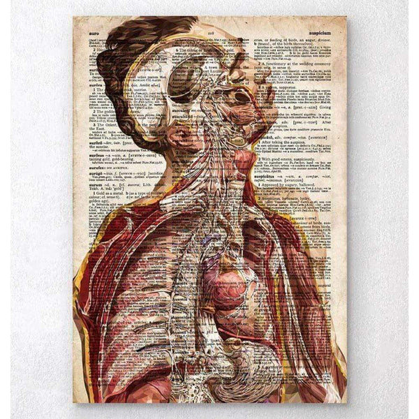 Codex Anatomicus Anatomical Print A5 Size (14.8 x 21 cm) Geometric Human Anatomy II Old Dictionary Page