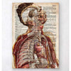 Codex Anatomicus Anatomical Print Geometric Human Anatomy II Old Dictionary Page