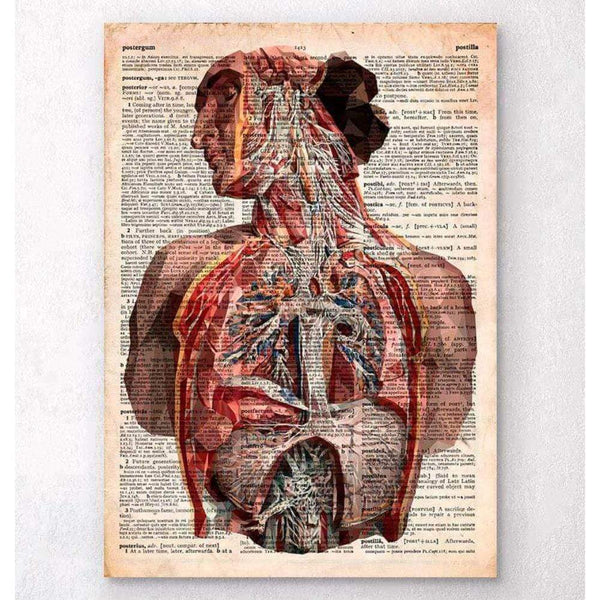 Codex Anatomicus Anatomical Print A5 Size (14.8 x 21 cm) Geometric Human Anatomy Old Dictionary Page