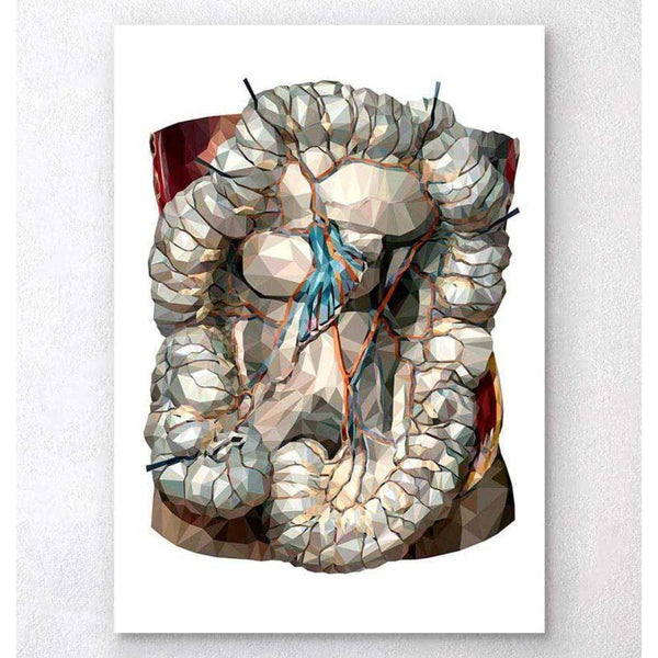 Codex Anatomicus Anatomical Print A5 Size (14.8 x 21 cm) Geometric Intestines Anatomy