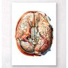 Codex Anatomicus Anatomical Print A5 Size (14.8 x 21 cm) Geometrical Brain Anatomy II