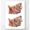 Codex Anatomicus Anatomical Print Geometrical Face Anatomy III