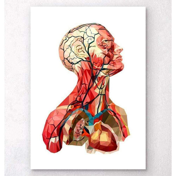 Codex Anatomicus Anatomical Print Geometrical Head Anatomy II