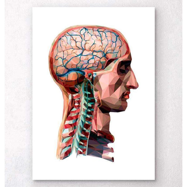 Codex Anatomicus Anatomical Print Geometrical Head And Brain