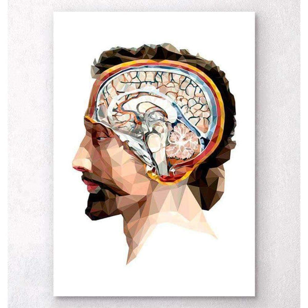 Codex Anatomicus Anatomical Print A5 Size (14.8 x 21 cm) Geometrical Head And Brain II