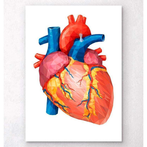 Codex Anatomicus Anatomical Print A5 Size (14.8 x 21 cm) Geometrical Heart Anatomy II