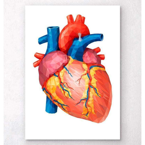 Codex Anatomicus Anatomical Print Geometrical Heart Anatomy II