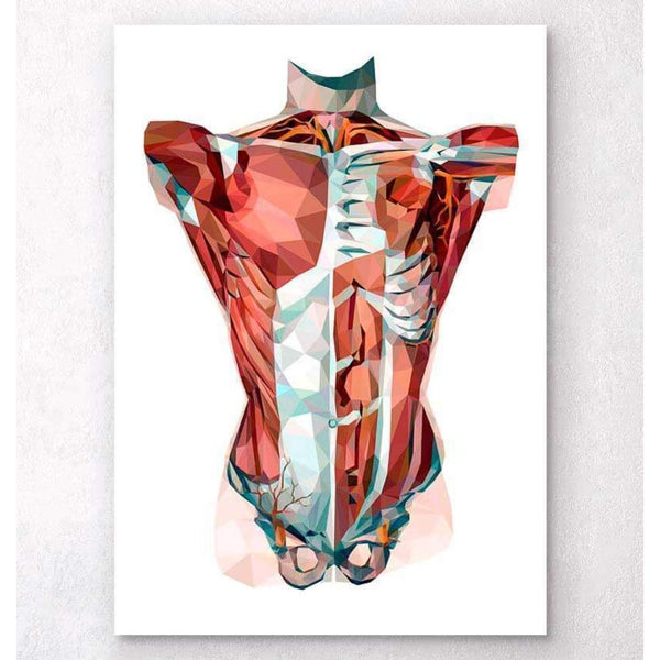 Codex Anatomicus Anatomical Print A5 Size (14.8 x 21 cm) Geometrical Torso Anatomy