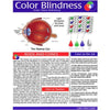 Good-Lite Colour Deficiency Teaching Card 8-1/2 x11 laminated teaching tool expla