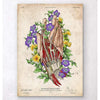 Codex Anatomicus Anatomical Print Hand Anatomy Art