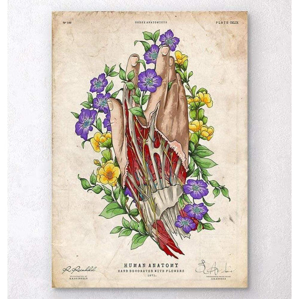 Codex Anatomicus Anatomical Print Hand Anatomy Art