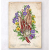 Codex Anatomicus Anatomical Print A5 Size (14.8 x 21 cm) Hand Anatomy Art