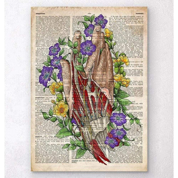 Codex Anatomicus Anatomical Print A5 Size (14.8 x 21 cm) Hand Anatomy Art Old Dictionary Page