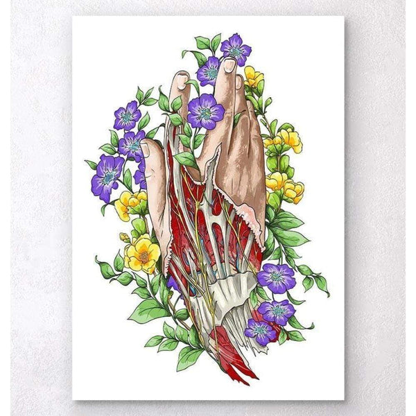 Codex Anatomicus Anatomical Print Hand Anatomy Art White
