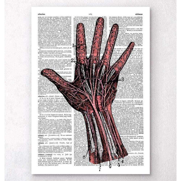 Codex Anatomicus Anatomical Print A5 Size (14.8 x 21 cm) Hand Anatomy Dictionary Page
