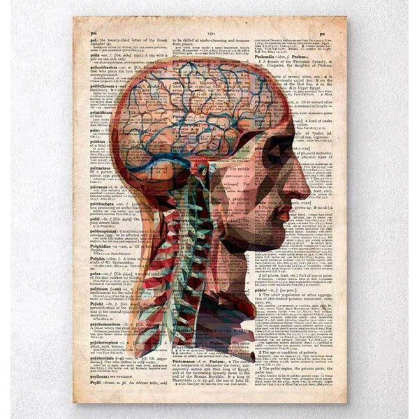 Codex Anatomicus Anatomical Print Head And Brain Anatomy Old Dictionary Page