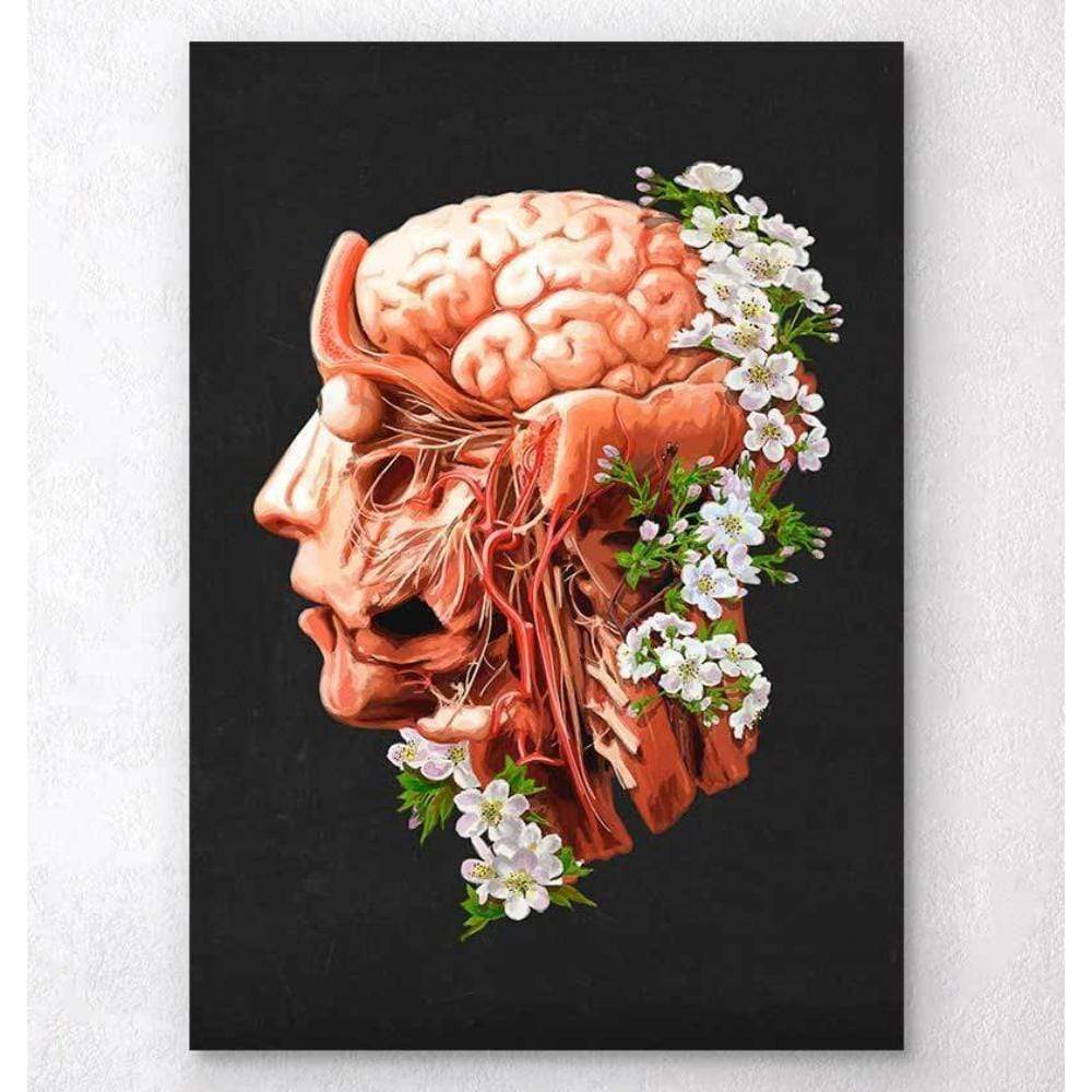 Floral skull anatomy art print - Codex Anatomicus