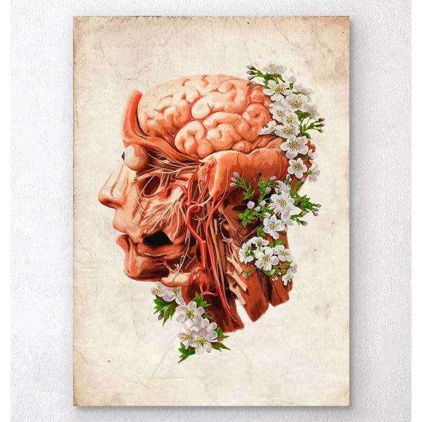 Codex Anatomicus Anatomical Print A5 Size (14.8 x 21 cm) Head, Brain And Arteries Anatomy Floral Old Paper