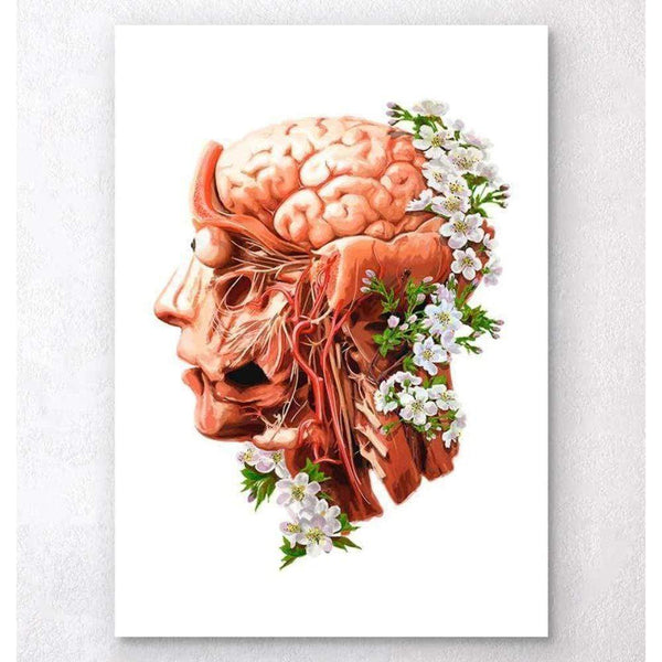 Codex Anatomicus Anatomical Print Head, Brain And Arteries Anatomy Floral White