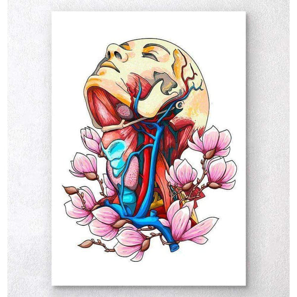 Codex Anatomicus Anatomical Print A5 Size (14.8 x 21 cm) Head, Neck And Arteries Floral Anatomy