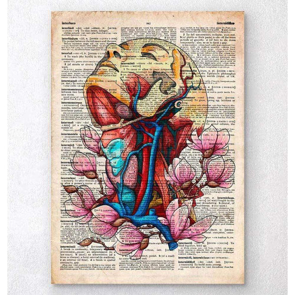 Codex Anatomicus Anatomical Print Head, Neck And Arteries Old Dictionary Page