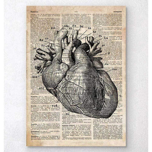 Codex Anatomicus Anatomical Print A5 Size (14.8 x 21 cm) Heart Anatomy Art I Old Dictionary Page