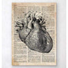 Codex Anatomicus Anatomical Print Heart Anatomy Art I Old Dictionary Page