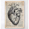 Codex Anatomicus Anatomical Print A5 Size (14.8 x 21 cm) Heart Anatomy Art II Old Dictionary Page