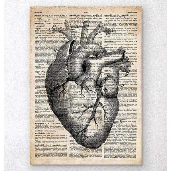 Codex Anatomicus Anatomical Print A5 Size (14.8 x 21 cm) Heart Anatomy Art II Old Dictionary Page