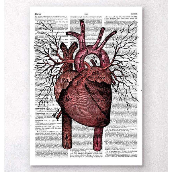 Codex Anatomicus Anatomical Print A5 Size (14.8 x 21 cm) Heart Anatomy Dictionary Page