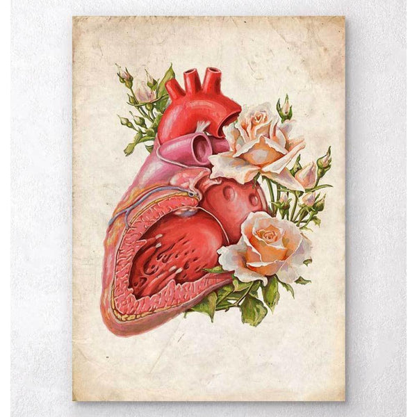 Codex Anatomicus Anatomical Print A5 Size (14.8 x 21 cm) Heart Anatomy Floral Old Paper