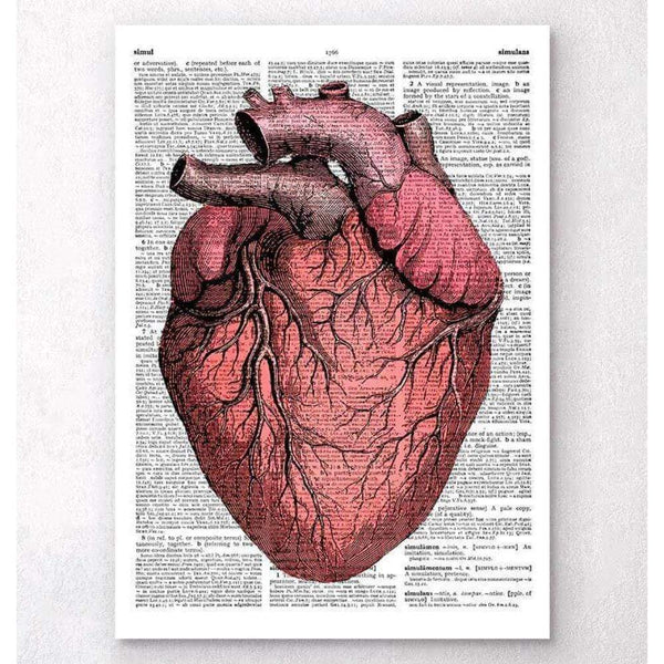 Codex Anatomicus Anatomical Print Heart Anatomy II Dictionary Page