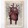Codex Anatomicus Anatomical Print A5 Size (14.8 x 21 cm) Heart Anatomy II Old Dictionary Page