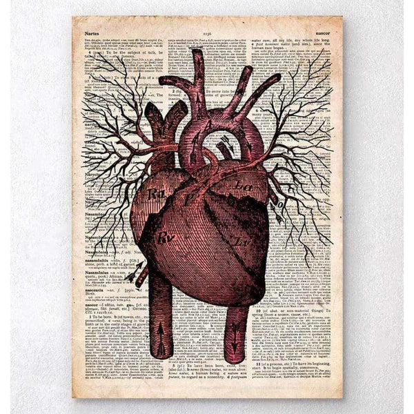 Codex Anatomicus Anatomical Print Heart Anatomy II Old Dictionary Page
