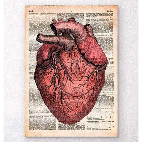 Codex Anatomicus Anatomical Print A5 Size (14.8 x 21 cm) Heart Anatomy Old Dictionary Page