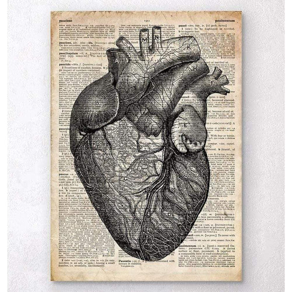 Codex Anatomicus Anatomical Print A5 Size (14.8 x 21 cm) Heart Anatomy Old Dictionary Page